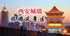 女生的手插入自已的下面视频免费中国陕西-西安城墙旅游风景区